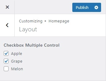 Handy Customizer Checkbox Multiple Control