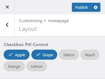 Handy Customizer Checkbox Pill Control