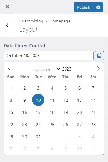 Handy Customizer Date Picker Control