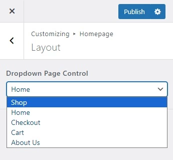 Handy Customizer Dropdown Page Control