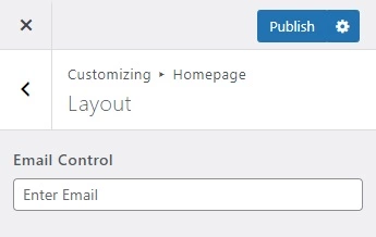 Handy Customizer Email Control