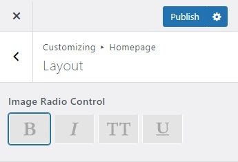 Handy Customizer Image Radio Control