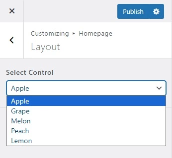Handy Customizer Select Control