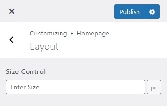 Handy Customizer Size Control