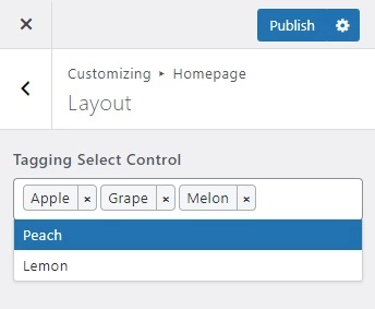 Handy Customizer Tagging Select Control