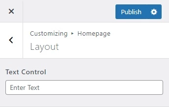 Handy Customizer Text Control