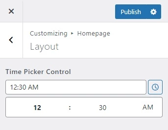 Handy Customizer Time Picker Control